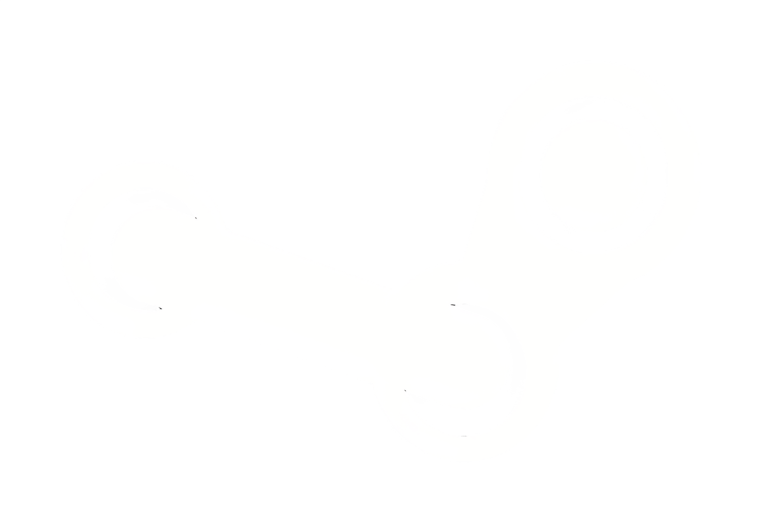 Steam